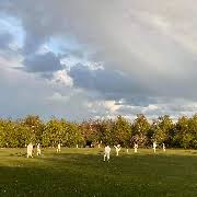 Image result for East Cowton Cricket Club