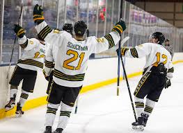 Image result for Norton Cyclones Skater Hockey Club