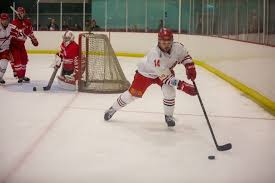 Image result for Streatham Night Wolves Ice Hockey Team