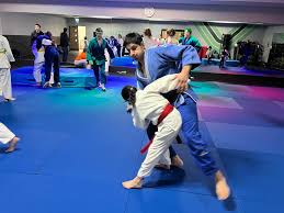Image result for Plumstead Judo Club