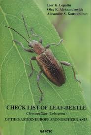 Attēlu rezultāti vaicājumam “Chrysomelidae”