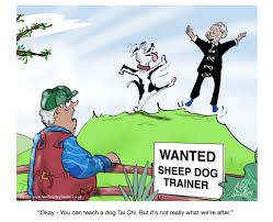 Image result for Ripley Tai Chi Club