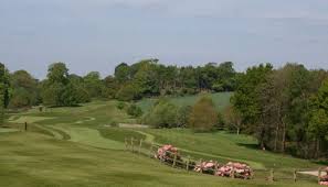 Image result for Vale Royal Abbey Golf Club