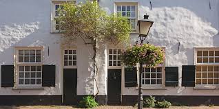 Image result for kaleien