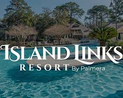 Image result for Link Leisure