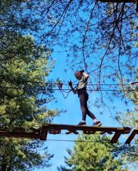 Image result for The Go Ape Experience (Delamere Forest)
