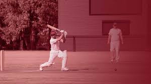 Image result for Broadbridge Heath Cricket Club