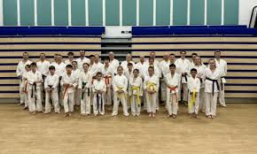 Image result for Sandokai Karate