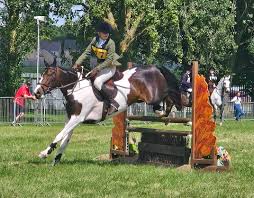 Image result for Cambridge University Riding Club