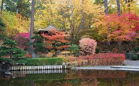 Image result for japanese gardens...