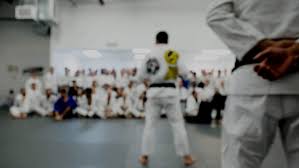 Image result for Derwent Jujitsu Academies