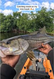 Image result for Bargoed Sea Anglers