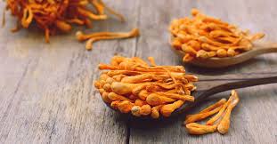 Attēlu rezultāti vaicājumam “Cordyceps militaris”