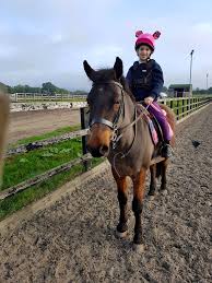 Image result for Cranleigh School Stables