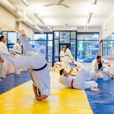 Image result for Chang's Hapkido Club