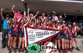Image result for Waverley Netball Club