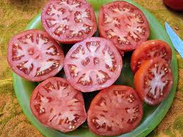 Afbeeldingsresultaat voor kosmonaut volkov 68D tomato