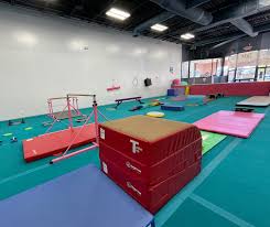 Image result for Pegasus Trampoline Club