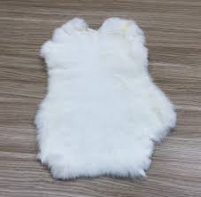 Image result for white rabbit skin texture