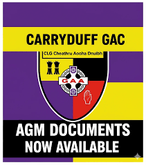 Image result for Carryduff Gaelic Athletic Club