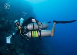 Image result for Headstream Divers