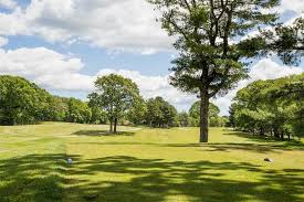 Image result for Thorn Park L T C