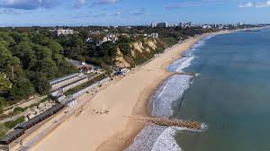 Image result for Bournemouth Spartans Winter Sea Swimming Club