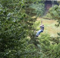 Image result for Go Ape! Leeds Castle