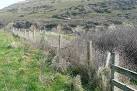 Above Chapman's Pool. This is an untidy area of rough vegetation where two - via Daymix
