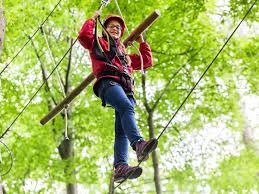Image result for The Go Ape Experience (Swinley Forest)