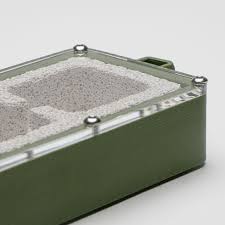 Image result for ytong ants