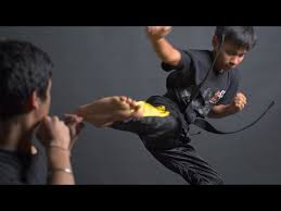 Image result for Surrey Taekwondo