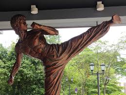 Image result for Hull Kung Fu