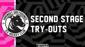 Image result for Haringey Greyhounds Ice Hockey Club