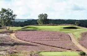Image result for Hankley Common Golf Club