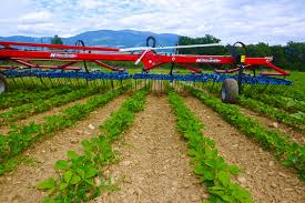 Image result for Harrow Tc