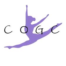 Image result for Cardiff Olympic Gymnastics Club