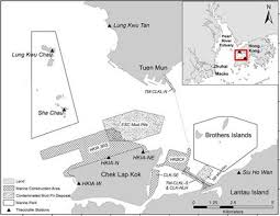 Image result for Leucopleurus acutus