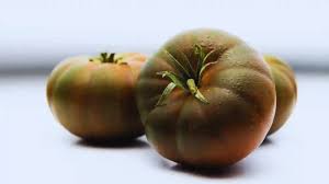 Afbeeldingsresultaat voor black sea man tomato