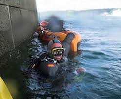 Image result for Breakwater Divers