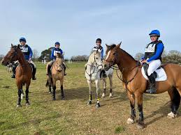 Image result for Bookham Riding Club