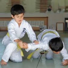 Image result for Ellis Schools of Traditional Aikido