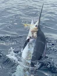 Image result for Annbank Angling Club