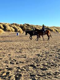 Image result for Ayr Riding Club