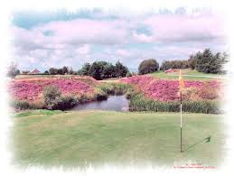 Image result for Green Haworth Golf Club