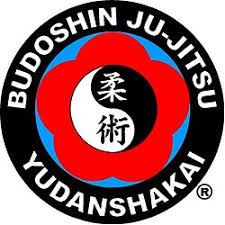 Image result for Budo Shin Ryu Kempo Jujitsu Academy