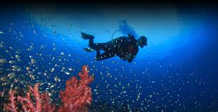 Image result for Darwen Snorkelling Club