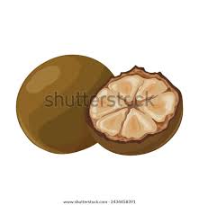 Attēlu rezultāti vaicājumam “Herminium monorchis fruit”