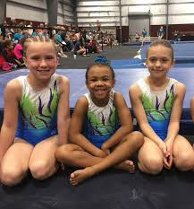 Image result for Altius Trampoline Club