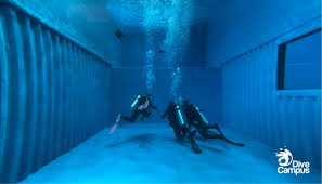 Image result for 3D Diving Club